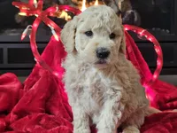 processed/b2c8a5ab-a85d-4975-92e4-a70215ce169d/listing/20d01a4f-08df-4ae7-956c-57f52e1ab5a2/3070342e-7253-4f1e-8620-cd840b1c0d6e