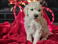 processed/b2c8a5ab-a85d-4975-92e4-a70215ce169d/listing/20d01a4f-08df-4ae7-956c-57f52e1ab5a2/708f72ea-c789-499b-bc68-a5ce1f80d8c1