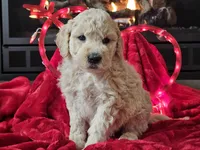 processed/b2c8a5ab-a85d-4975-92e4-a70215ce169d/listing/20d01a4f-08df-4ae7-956c-57f52e1ab5a2/c85ba6fc-9124-4016-bc1b-34ec9a3e0278