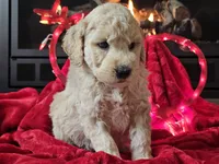 processed/b2c8a5ab-a85d-4975-92e4-a70215ce169d/listing/20d01a4f-08df-4ae7-956c-57f52e1ab5a2/d0fbef95-796f-4a07-86e4-60c92cfb9b70