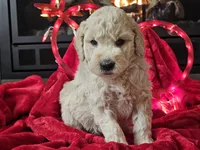 processed/b2c8a5ab-a85d-4975-92e4-a70215ce169d/listing/20d01a4f-08df-4ae7-956c-57f52e1ab5a2/d4cb19ee-4bfe-4a62-8135-de5cf9ed6143