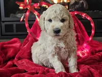 processed/b2c8a5ab-a85d-4975-92e4-a70215ce169d/listing/20d01a4f-08df-4ae7-956c-57f52e1ab5a2/fa2a1fa4-4cf2-4e3d-8e55-066c05bed041