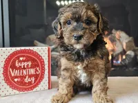 processed/b2c8a5ab-a85d-4975-92e4-a70215ce169d/listing/2c4c716c-62ae-45bc-b674-427f2413c260/6e87e496-bbdd-4de8-adb0-a3d86cc62bc6