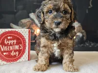 processed/b2c8a5ab-a85d-4975-92e4-a70215ce169d/listing/2c4c716c-62ae-45bc-b674-427f2413c260/7747a30a-1a40-462d-bebc-f6de570ea4a8