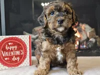 processed/b2c8a5ab-a85d-4975-92e4-a70215ce169d/listing/2c4c716c-62ae-45bc-b674-427f2413c260/7c13fae7-0e0c-4d45-b3fc-f25174c41ded