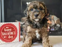 processed/b2c8a5ab-a85d-4975-92e4-a70215ce169d/listing/2c4c716c-62ae-45bc-b674-427f2413c260/a6170697-25fa-425f-8ef3-3d105b56a682