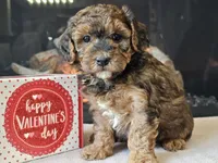 processed/b2c8a5ab-a85d-4975-92e4-a70215ce169d/listing/2c4c716c-62ae-45bc-b674-427f2413c260/c11cfc84-8ba8-4e5f-a7ff-f99d090d517d