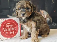 processed/b2c8a5ab-a85d-4975-92e4-a70215ce169d/listing/2c4c716c-62ae-45bc-b674-427f2413c260/e5e2e911-3722-4fed-be7e-b44f37da3f40