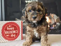 processed/b2c8a5ab-a85d-4975-92e4-a70215ce169d/listing/2c4c716c-62ae-45bc-b674-427f2413c260/ecab37a2-cb6a-497c-ab4c-190fd90525ff