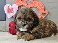 processed/b2c8a5ab-a85d-4975-92e4-a70215ce169d/listing/39f1fa97-9e76-4561-8b51-5825823631fd/26c38d9d-2560-4cba-b682-9576e0de3488