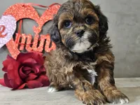 processed/b2c8a5ab-a85d-4975-92e4-a70215ce169d/listing/39f1fa97-9e76-4561-8b51-5825823631fd/289cccc3-c383-4546-a208-27ec1c6f9839