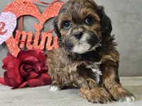 processed/b2c8a5ab-a85d-4975-92e4-a70215ce169d/listing/39f1fa97-9e76-4561-8b51-5825823631fd/2e40074a-72e4-41f4-a959-dc8cc98bc538