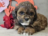 processed/b2c8a5ab-a85d-4975-92e4-a70215ce169d/listing/39f1fa97-9e76-4561-8b51-5825823631fd/31e817fe-410b-4429-a4a3-da8e10af3575