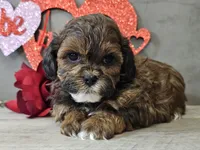 processed/b2c8a5ab-a85d-4975-92e4-a70215ce169d/listing/39f1fa97-9e76-4561-8b51-5825823631fd/a3678a41-6bcb-42d9-8aca-e0046faf99de