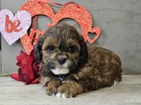 processed/b2c8a5ab-a85d-4975-92e4-a70215ce169d/listing/39f1fa97-9e76-4561-8b51-5825823631fd/c6432b3f-159f-434e-a6a6-03555f3f7d74