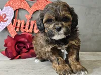 processed/b2c8a5ab-a85d-4975-92e4-a70215ce169d/listing/39f1fa97-9e76-4561-8b51-5825823631fd/dd73289c-ea64-41b8-9a09-adea5851ada3