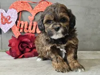 processed/b2c8a5ab-a85d-4975-92e4-a70215ce169d/listing/39f1fa97-9e76-4561-8b51-5825823631fd/fea7932e-e8b1-439c-be1e-9d261ab71ed9