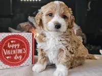 processed/b2c8a5ab-a85d-4975-92e4-a70215ce169d/listing/4ae5ac3e-421e-4496-9ba1-ade95d63e0ea/0441d193-2f60-403a-844f-25b1958b2011