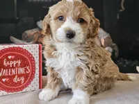 processed/b2c8a5ab-a85d-4975-92e4-a70215ce169d/listing/4ae5ac3e-421e-4496-9ba1-ade95d63e0ea/603e25fa-0a5c-4267-95fd-16c4250895f0