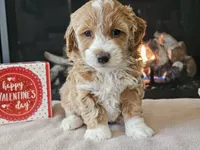 processed/b2c8a5ab-a85d-4975-92e4-a70215ce169d/listing/4ae5ac3e-421e-4496-9ba1-ade95d63e0ea/6c7973fa-1089-4693-a08a-d75847273620