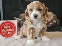 processed/b2c8a5ab-a85d-4975-92e4-a70215ce169d/listing/4ae5ac3e-421e-4496-9ba1-ade95d63e0ea/78026afe-1b64-4c91-adb8-9ee5e4fbb6af