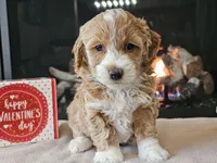 processed/b2c8a5ab-a85d-4975-92e4-a70215ce169d/listing/4ae5ac3e-421e-4496-9ba1-ade95d63e0ea/8f2d7083-e741-460a-bd77-080c50339c9e