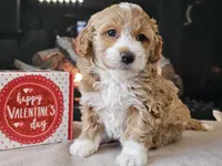 processed/b2c8a5ab-a85d-4975-92e4-a70215ce169d/listing/4ae5ac3e-421e-4496-9ba1-ade95d63e0ea/dee2c539-f204-493e-bf3a-6edc5aa701ef