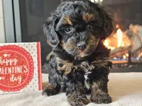 processed/b2c8a5ab-a85d-4975-92e4-a70215ce169d/listing/66f28c3f-fc57-45b2-9e02-3868bcefba47/431a85e8-02b5-4e51-9f8c-b5f4bcc9025f