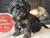 processed/b2c8a5ab-a85d-4975-92e4-a70215ce169d/listing/66f28c3f-fc57-45b2-9e02-3868bcefba47/5fb71be4-c2c4-4082-b1c2-c8369689e3f6