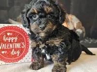 processed/b2c8a5ab-a85d-4975-92e4-a70215ce169d/listing/66f28c3f-fc57-45b2-9e02-3868bcefba47/94815a64-809b-4d75-a422-4998e5ebbce1