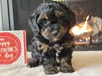 processed/b2c8a5ab-a85d-4975-92e4-a70215ce169d/listing/66f28c3f-fc57-45b2-9e02-3868bcefba47/9dac5d12-efa1-4ee7-a53c-be633ee2d4f9