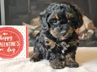 processed/b2c8a5ab-a85d-4975-92e4-a70215ce169d/listing/66f28c3f-fc57-45b2-9e02-3868bcefba47/becb3777-2357-4fe6-8893-ae1b7098b8b9