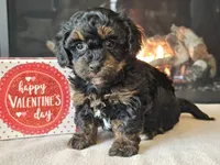 processed/b2c8a5ab-a85d-4975-92e4-a70215ce169d/listing/66f28c3f-fc57-45b2-9e02-3868bcefba47/cb68b04b-618b-4a6c-9414-9751fb143449