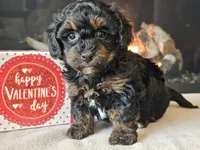 processed/b2c8a5ab-a85d-4975-92e4-a70215ce169d/listing/66f28c3f-fc57-45b2-9e02-3868bcefba47/f49249df-48ed-482f-b94b-789b60239db6