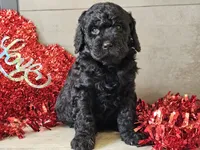 processed/b2c8a5ab-a85d-4975-92e4-a70215ce169d/listing/71cf2ff9-0aeb-40e7-b752-9cd5fad09621/2b9908a7-48d4-41ad-ab90-e0ec4c023e41