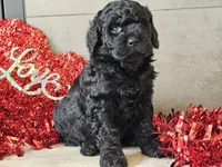 processed/b2c8a5ab-a85d-4975-92e4-a70215ce169d/listing/71cf2ff9-0aeb-40e7-b752-9cd5fad09621/2d6dcf9b-74c2-4d30-9952-1781f59b4b05