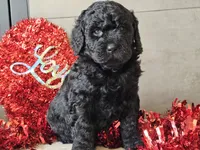 processed/b2c8a5ab-a85d-4975-92e4-a70215ce169d/listing/71cf2ff9-0aeb-40e7-b752-9cd5fad09621/378d7fd1-84f2-4939-a217-df14e154eb59