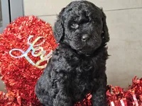 processed/b2c8a5ab-a85d-4975-92e4-a70215ce169d/listing/71cf2ff9-0aeb-40e7-b752-9cd5fad09621/64553dba-793e-4cbd-9752-0b67d48781f3