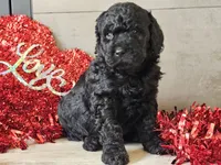 processed/b2c8a5ab-a85d-4975-92e4-a70215ce169d/listing/71cf2ff9-0aeb-40e7-b752-9cd5fad09621/9300dee6-7872-493d-9029-5778d14ea958