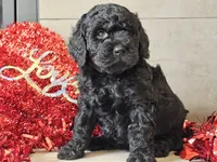 processed/b2c8a5ab-a85d-4975-92e4-a70215ce169d/listing/71cf2ff9-0aeb-40e7-b752-9cd5fad09621/aa14f3c8-e926-4441-bb6b-8dbb9300da92