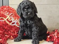 processed/b2c8a5ab-a85d-4975-92e4-a70215ce169d/listing/71cf2ff9-0aeb-40e7-b752-9cd5fad09621/ae9bdc20-45d6-4ca7-ab17-d12e85ce7855