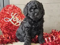 processed/b2c8a5ab-a85d-4975-92e4-a70215ce169d/listing/71cf2ff9-0aeb-40e7-b752-9cd5fad09621/d1e1d688-5a4d-4606-8018-90c157879199