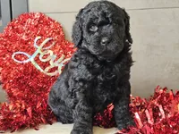 processed/b2c8a5ab-a85d-4975-92e4-a70215ce169d/listing/71cf2ff9-0aeb-40e7-b752-9cd5fad09621/ee4bf956-275b-40cc-82be-40bae27b3000