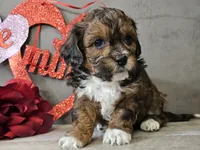 processed/b2c8a5ab-a85d-4975-92e4-a70215ce169d/listing/802d039c-ac6f-4903-877e-28659194aeeb/2fc4ff1f-e09c-4277-ab17-a4358f5d77cb