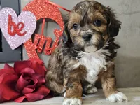 processed/b2c8a5ab-a85d-4975-92e4-a70215ce169d/listing/802d039c-ac6f-4903-877e-28659194aeeb/33713297-6206-41ef-923d-76c5f66e9171