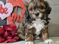 processed/b2c8a5ab-a85d-4975-92e4-a70215ce169d/listing/802d039c-ac6f-4903-877e-28659194aeeb/560f671f-f40f-4ed1-8487-28ac4d3cb99a