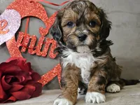 processed/b2c8a5ab-a85d-4975-92e4-a70215ce169d/listing/802d039c-ac6f-4903-877e-28659194aeeb/79402372-d36f-4733-a206-efb7fbb985e2