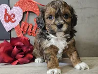 processed/b2c8a5ab-a85d-4975-92e4-a70215ce169d/listing/802d039c-ac6f-4903-877e-28659194aeeb/c6565b7d-5787-4ad6-804a-b9fdcc1ddca1