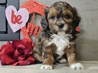 processed/b2c8a5ab-a85d-4975-92e4-a70215ce169d/listing/802d039c-ac6f-4903-877e-28659194aeeb/c9121ce0-7024-4dca-b08b-14cbd222f93f