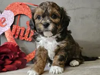 processed/b2c8a5ab-a85d-4975-92e4-a70215ce169d/listing/802d039c-ac6f-4903-877e-28659194aeeb/ce0fc10a-953e-4999-8913-b0e545b151ac